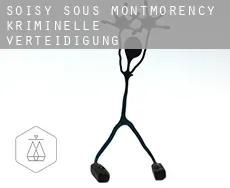 Soisy-sous-Montmorency  kriminelle verteidigung rechtsanwalt