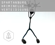 Spartanburg  kriminelle verteidigung rechtsanwalt