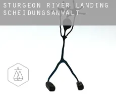 Sturgeon River Landing  Scheidungsanwalt