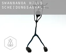 Swannanoa Hills  Scheidungsanwalt