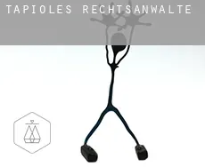 Tapioles  rechtsanwälte