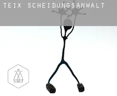 Teix  Scheidungsanwalt