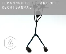 Teßmannsdorf bankrott rechtsanwalt