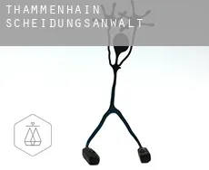 Thammenhain  Scheidungsanwalt