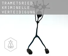 Trametsried kriminelle verteidigung rechtsanwalt