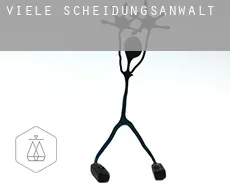 Viele Scheidungsanwalt