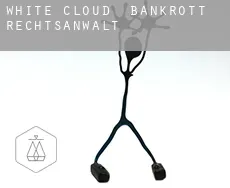 White Cloud  bankrott rechtsanwalt