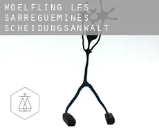 Wœlfling-lès-Sarreguemines  Scheidungsanwalt