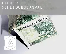 Fisher  Scheidungsanwalt