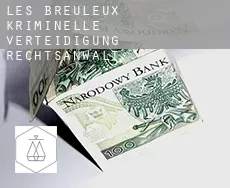 Les Breuleux  kriminelle verteidigung rechtsanwalt