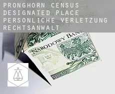 Pronghorn  persönliche verletzung rechtsanwalt