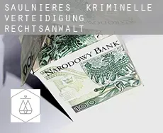 Saulnières  kriminelle verteidigung rechtsanwalt