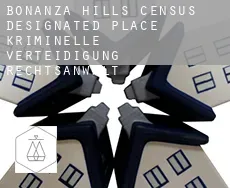 Bonanza Hills  kriminelle verteidigung rechtsanwalt