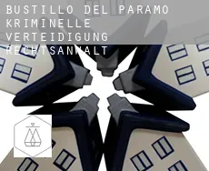 Bustillo del Páramo  kriminelle verteidigung rechtsanwalt