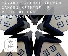 Cazaux-Fréchet-Anéran-Camors  kriminelle verteidigung rechtsanwalt