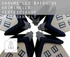 Chaume-lès-Baigneux kriminelle verteidigung rechtsanwalt
