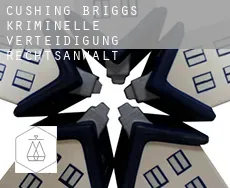 Cushing Briggs  kriminelle verteidigung rechtsanwalt