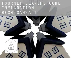 Fournet-Blancheroche  immigration rechtsanwalt