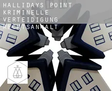 Hallidays Point  kriminelle verteidigung rechtsanwalt