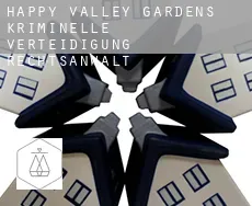Happy Valley Gardens  kriminelle verteidigung rechtsanwalt