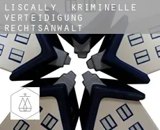 Liscally  kriminelle verteidigung rechtsanwalt