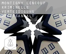 Montigny-Lencoup  kriminelle verteidigung rechtsanwalt