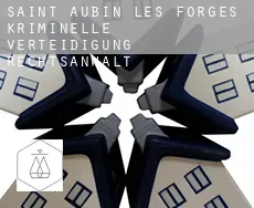 Saint-Aubin-les-Forges  kriminelle verteidigung rechtsanwalt