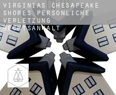 Virginias Chesapeake Shores persönliche verletzung rechtsanwalt