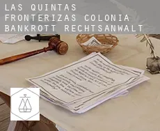 Las Quintas Fronterizas Colonia bankrott rechtsanwalt