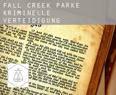 Fall Creek Parke  kriminelle verteidigung rechtsanwalt