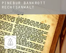 Pinebur  bankrott rechtsanwalt