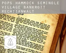 Pops Hammock Seminole Village  bankrott rechtsanwalt