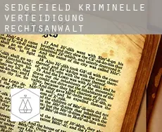 Sedgefield kriminelle verteidigung rechtsanwalt