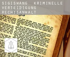 Sigiswang  kriminelle verteidigung rechtsanwalt