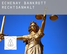 Échenay  bankrott rechtsanwalt