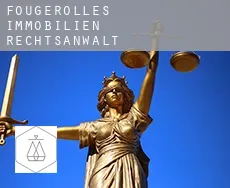 Fougerolles  immobilien rechtsanwalt