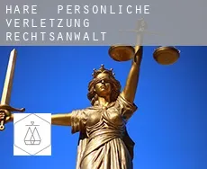 Hare  persönliche verletzung rechtsanwalt