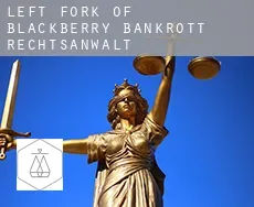 Left Fork of Blackberry  bankrott rechtsanwalt