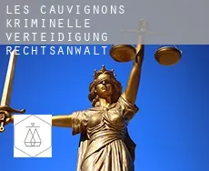 Les Cauvignons  kriminelle verteidigung rechtsanwalt