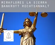 Miraflores de la Sierra  bankrott rechtsanwalt
