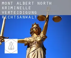 Mont Albert North  kriminelle verteidigung rechtsanwalt