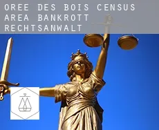 Orée-des-Bois (census area)  bankrott rechtsanwalt