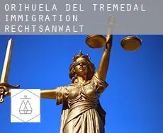 Orihuela del Tremedal  immigration rechtsanwalt