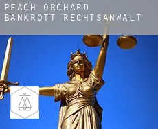 Peach Orchard  bankrott rechtsanwalt