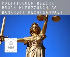 Politischer Bezirk Bruck-Muerzzuschlag bankrott rechtsanwalt