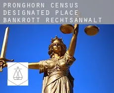 Pronghorn  bankrott rechtsanwalt