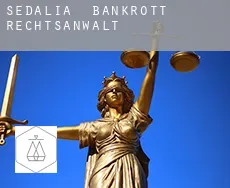 Sedalia  bankrott rechtsanwalt