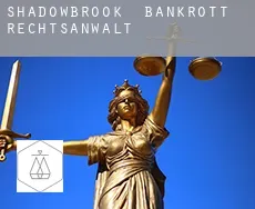 Shadowbrook  bankrott rechtsanwalt