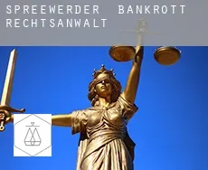 Spreewerder  bankrott rechtsanwalt