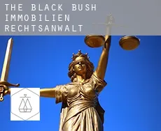The Black Bush  immobilien rechtsanwalt